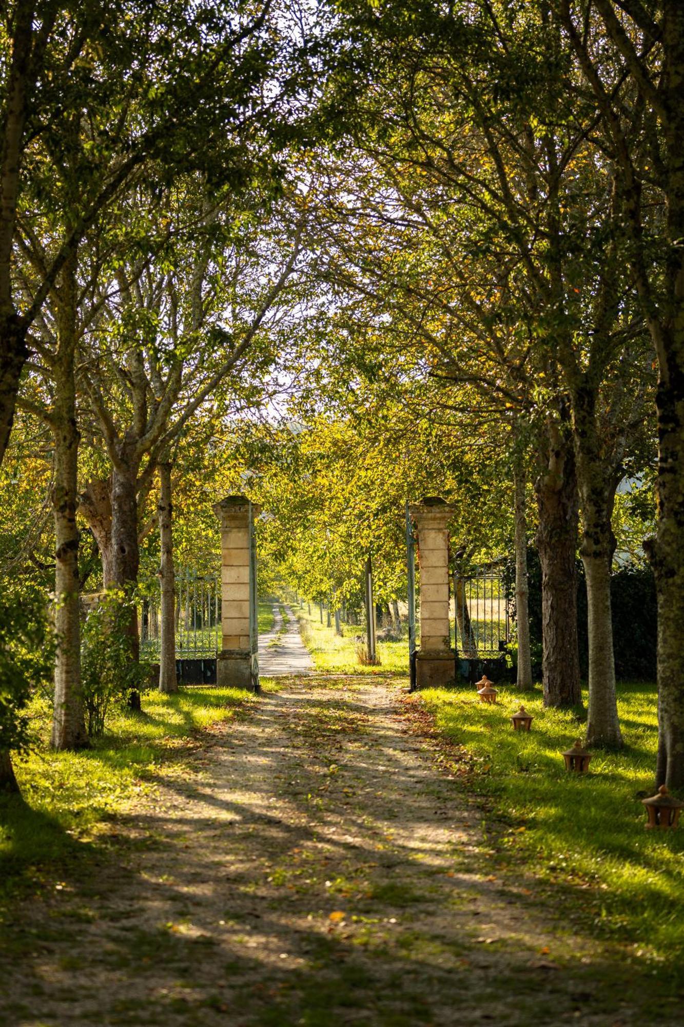 Chateau La Gineste - Castle And Vineyard Duravel Exterior foto